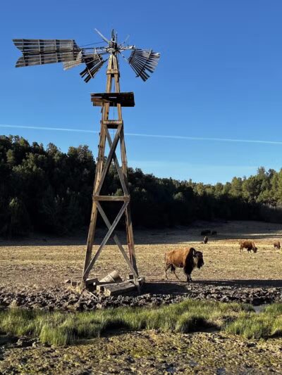 Mount Carmel Junction - Orderville, UT