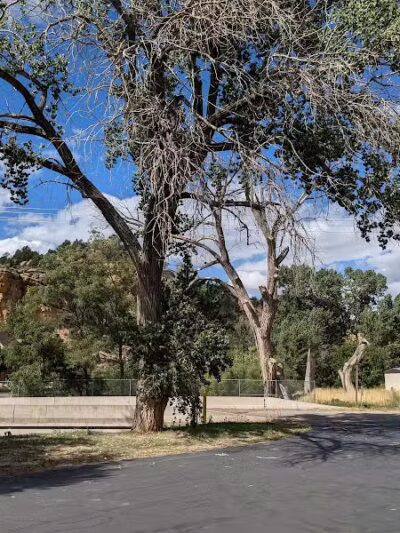 Orderville Town Park - Orderville, UT