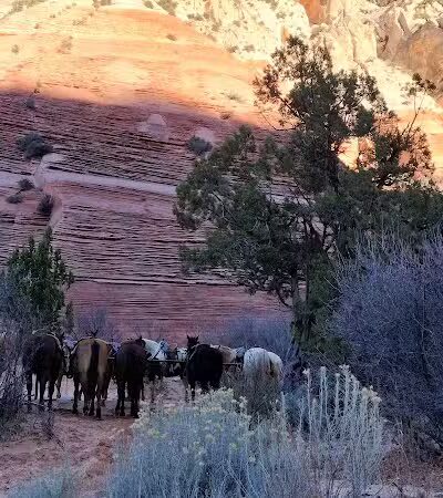 Red Hollow Canyon Trailhead - Orderville, UT