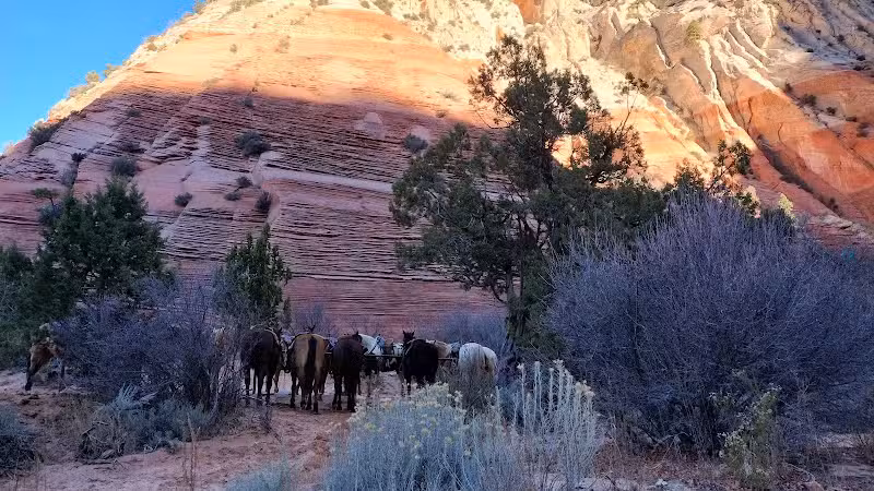 Red Hollow Canyon Trailhead - Orderville, UT