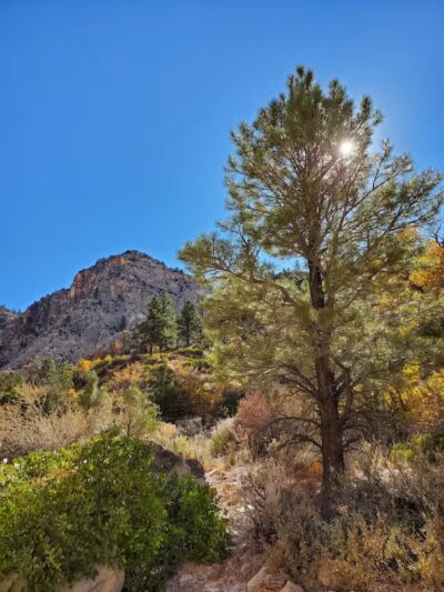 Red Hollow Canyon Trailhead - Orderville, UT