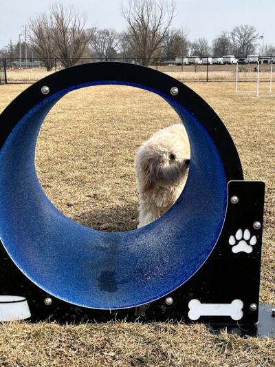 Wiggly Field Dog Park - Oregon, IL