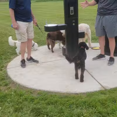 Jake & Cooper's Bark Park (Membership Required) - Oregon, OH