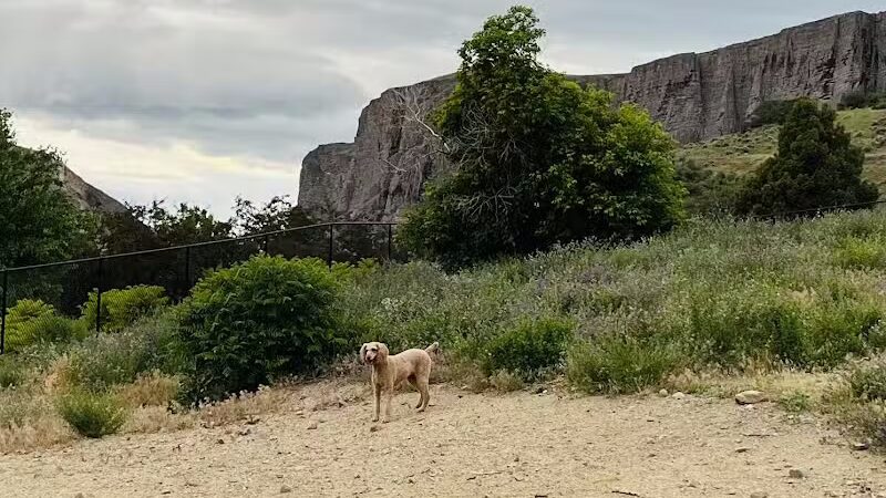 Orem Dog Park - Orem, UT
