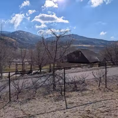 Orem Dog Park - Orem, UT
