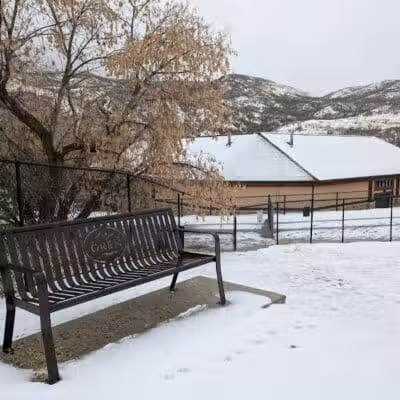Orem Dog Park - Orem, UT