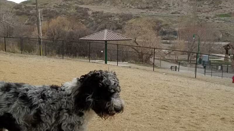 Orem Dog Park - Orem, UT