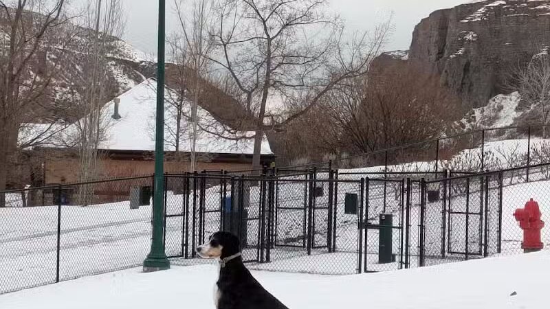 Orem Dog Park - Orem, UT