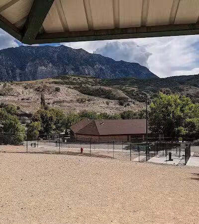 Orem Dog Park - Orem, UT