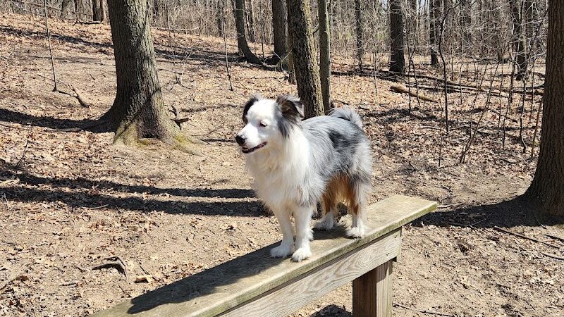 Orion Oaks Dog Park - Orion Township, MI