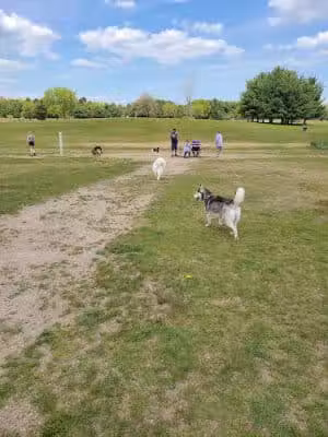 Orion Oaks Dog Park - Orion Township, MI