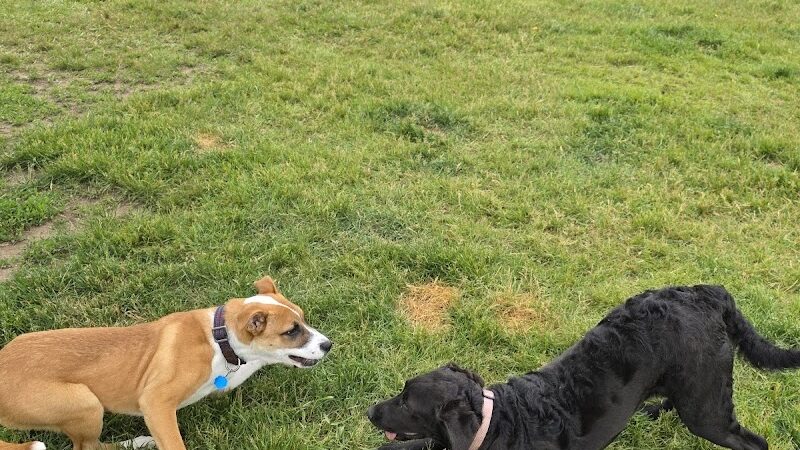 Orion Oaks Dog Park - Orion Township, MI