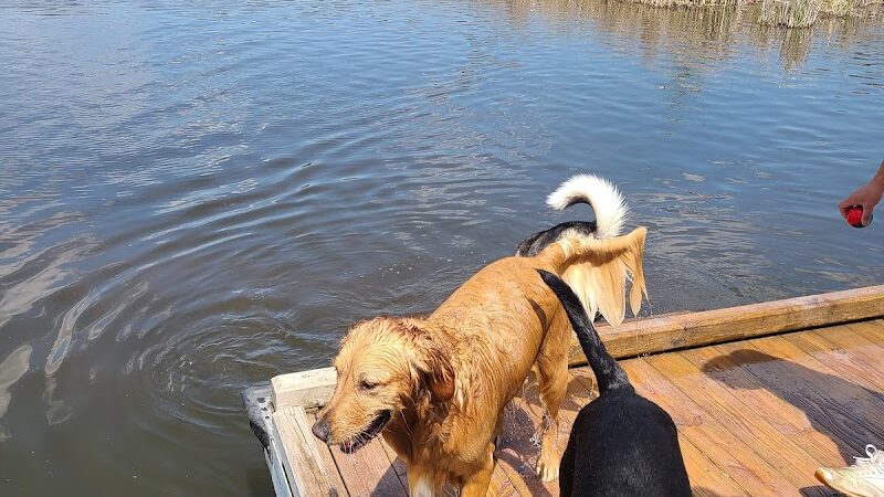 Orion Oaks Dog Park - Orion Township, MI