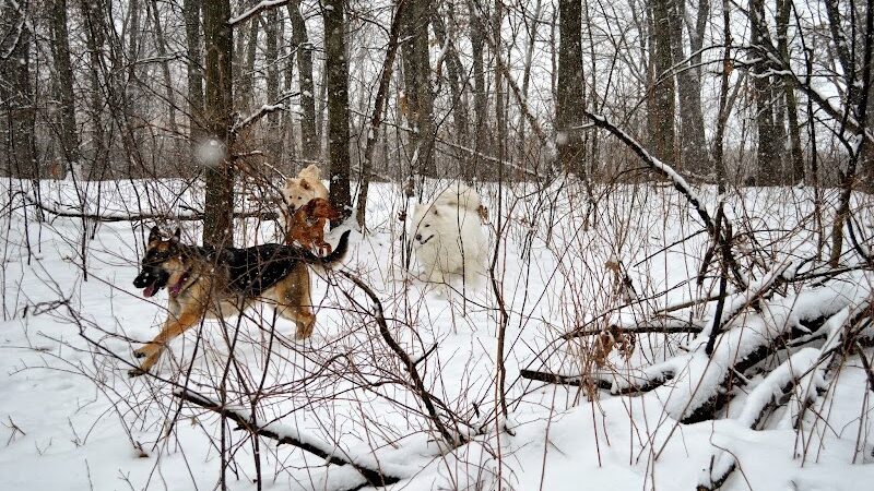 Orion Oaks Dog Park - Orion Township, MI