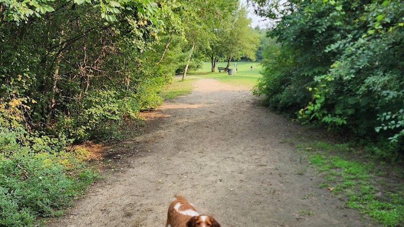 Orion Oaks Dog Park - Orion Township, MI