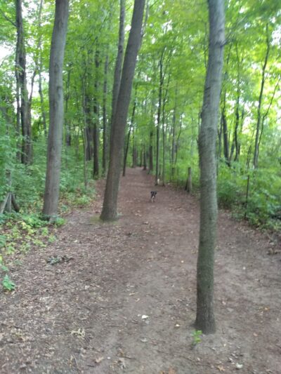 Orion Oaks Dog Park - Orion Township, MI