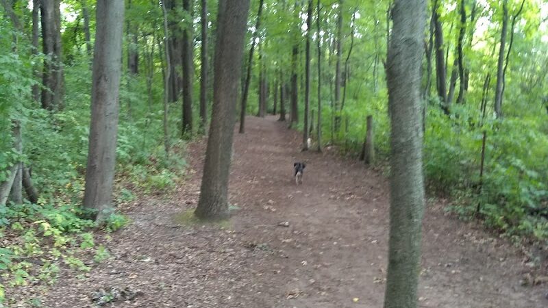 Orion Oaks Dog Park - Orion Township, MI