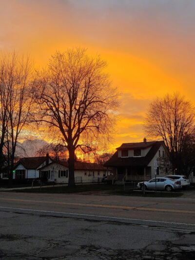 Orion Oaks Dog Park Beach - Orion Township, MI