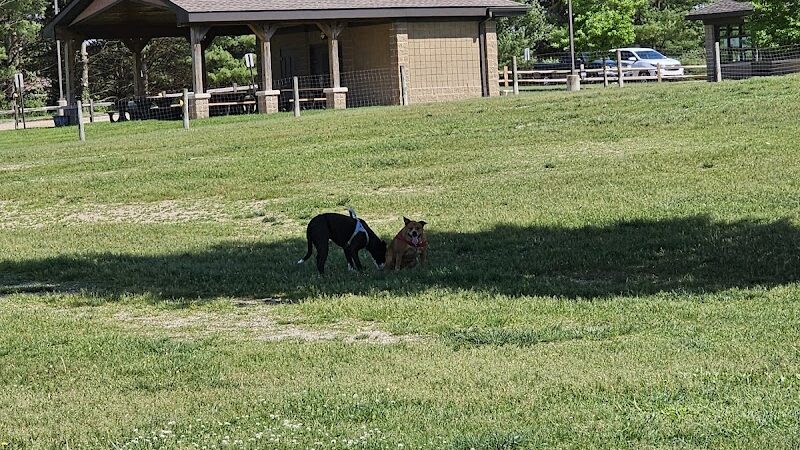 Orion Oaks Dog Park Beach - Orion Township, MI