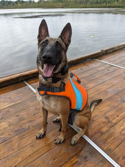 Orion Oaks Dog Park Beach - Orion Township, MI