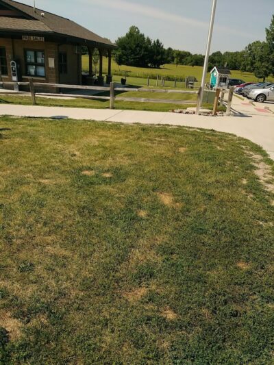 Orion Oaks Dog Park Beach - Orion Township, MI