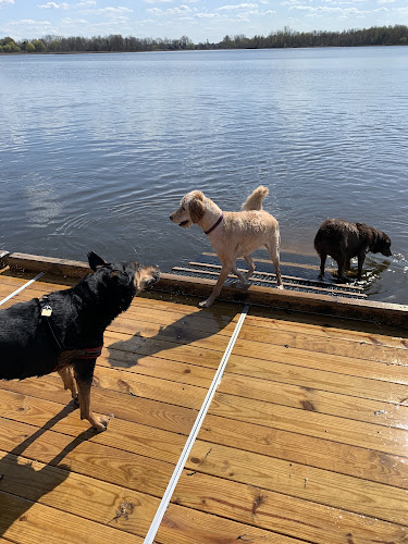 Orion Oaks Dog Park Beach - Orion Township, MI