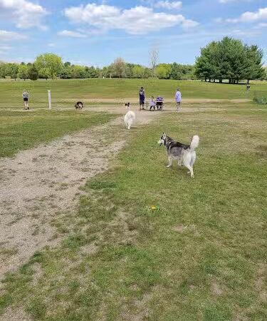 Orion Oaks Dog Park - Orion Township, MI