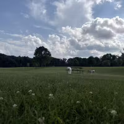 Orion Oaks Dog Park - Orion Township, MI