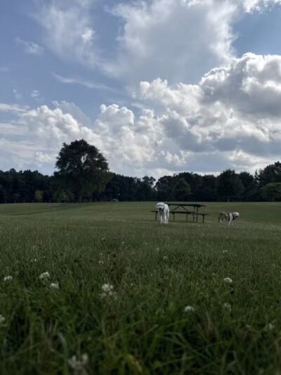 Orion Oaks Dog Park - Orion Township, MI