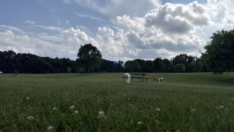 Orion Oaks Dog Park - Orion Township, MI