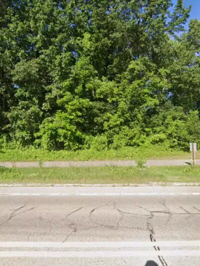 Orion Oaks Dog Park Beach - Orion Township, MI