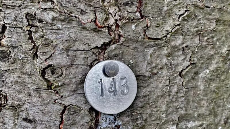 Orion Oaks Dog Park - Orion Township, MI