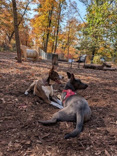 Ossining Dog Park - Ossining, NY