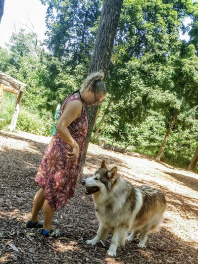 Ossining Dog Park - Ossining, NY