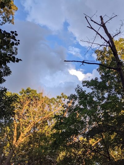 Ossining Dog Park - Ossining, NY