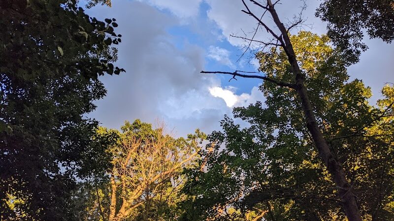 Ossining Dog Park - Ossining, NY