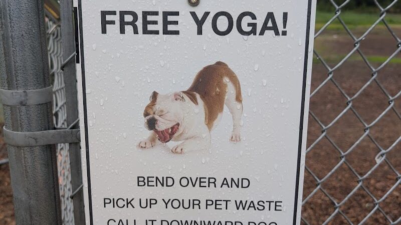 Ossipee Dog Park - Ossipee, NH