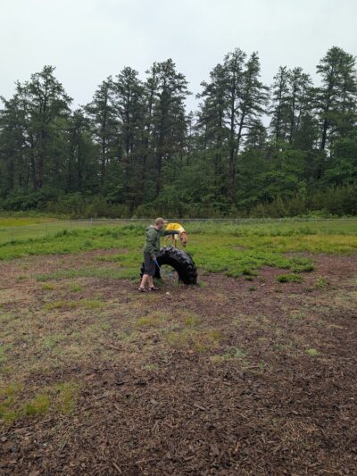 Ossipee Dog Park - Ossipee, NH