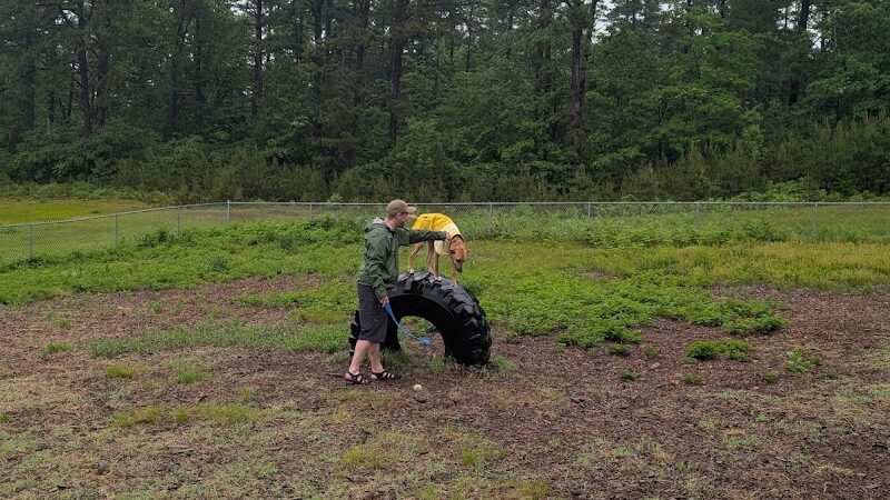 Ossipee Dog Park - Ossipee, NH