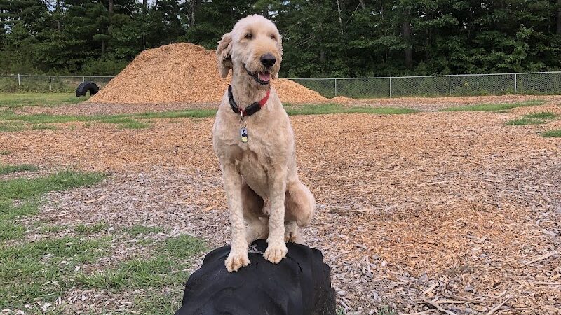 Ossipee Dog Park - Ossipee, NH