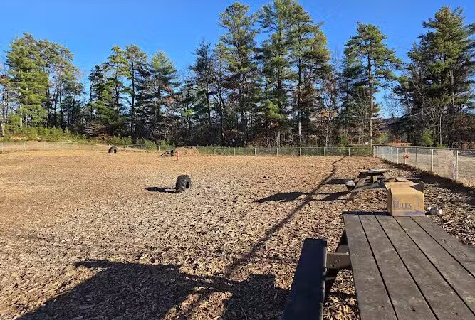 Ossipee Dog Park - Ossipee, NH