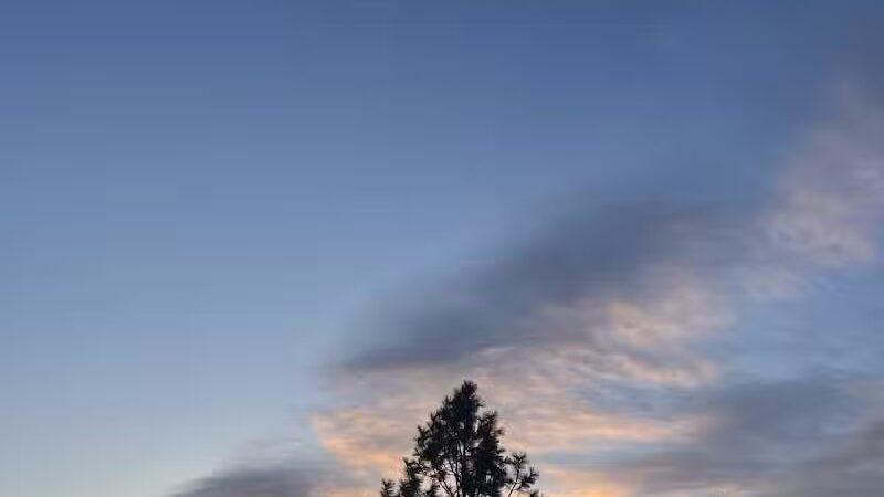 Gateway Regional Park - Otis Orchards, WA