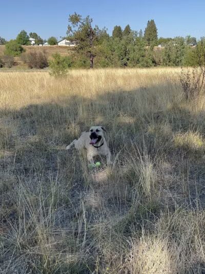 Gateway Regional Park - Otis Orchards, WA