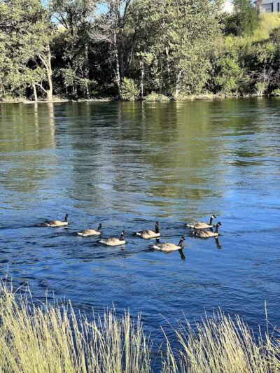 Gateway Regional Park - Otis Orchards, WA