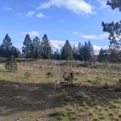 Gateway Regional Park - Otis Orchards, WA
