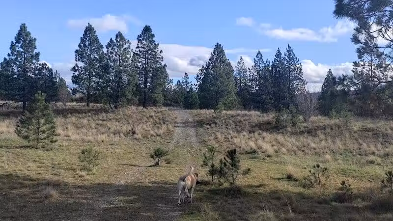 Gateway Regional Park - Otis Orchards, WA