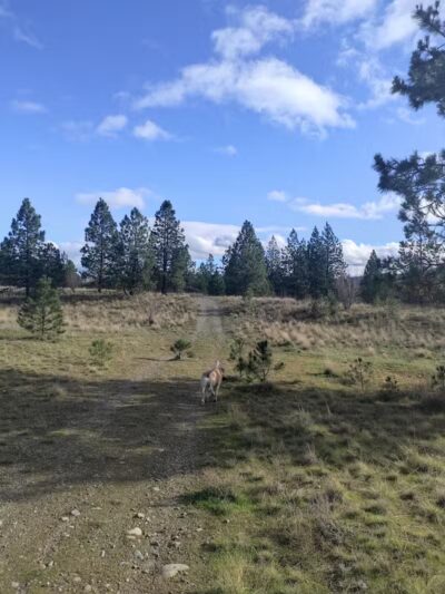Gateway Regional Park - Otis Orchards, WA