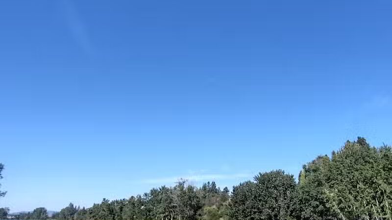 Gateway Regional Park - Otis Orchards, WA