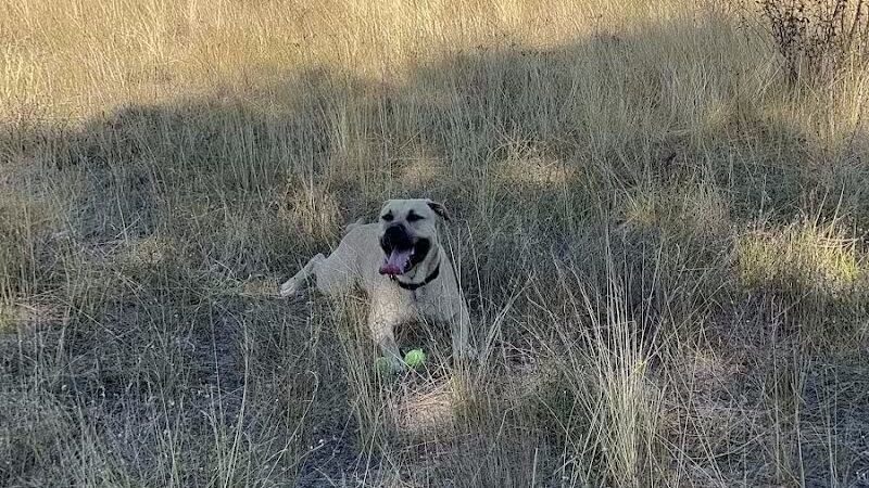 Gateway Regional Park - Otis Orchards, WA