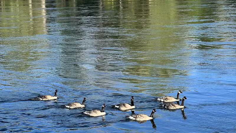 Gateway Regional Park - Otis Orchards, WA
